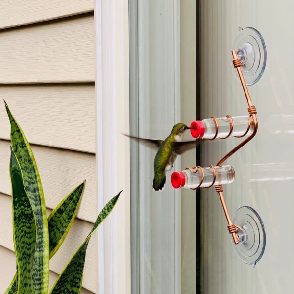 Geometric Window Hummingbird Feeder 3